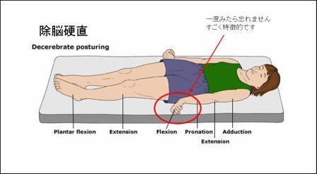 日々是よろずer診療 Ssブログ