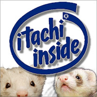 itachi-inside.jpg