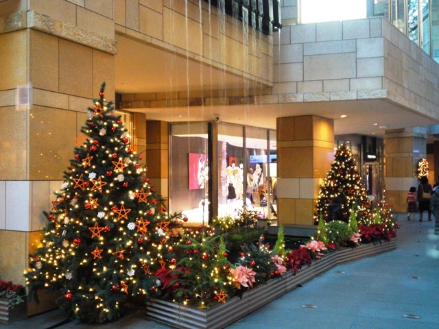 Christmasツリーと滝 640.JPG
