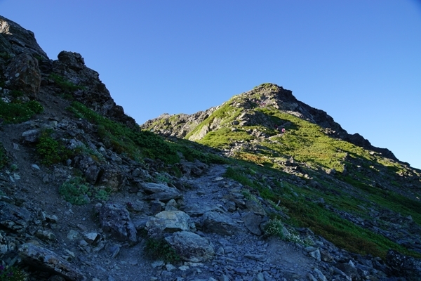 DSC00290.JPG