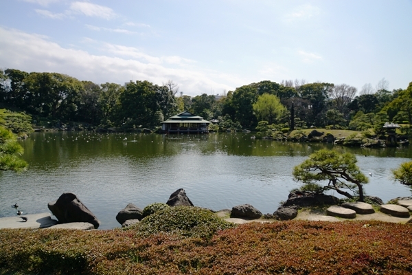 DSC01197.JPG