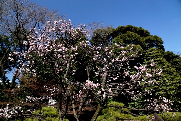 DSC01206.JPG
