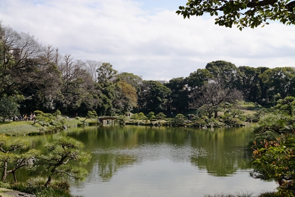 DSC01208.JPG