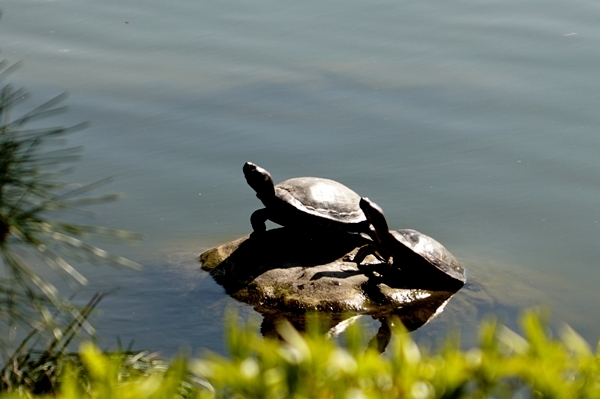 DSC01211.JPG
