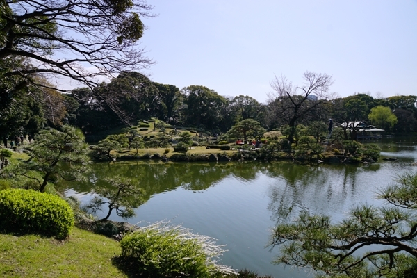 DSC01214.JPG