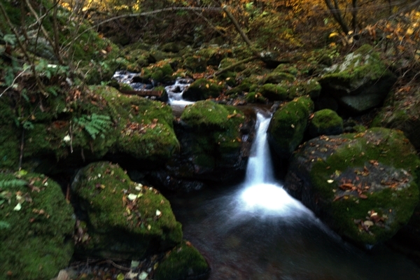 大岳山の沢