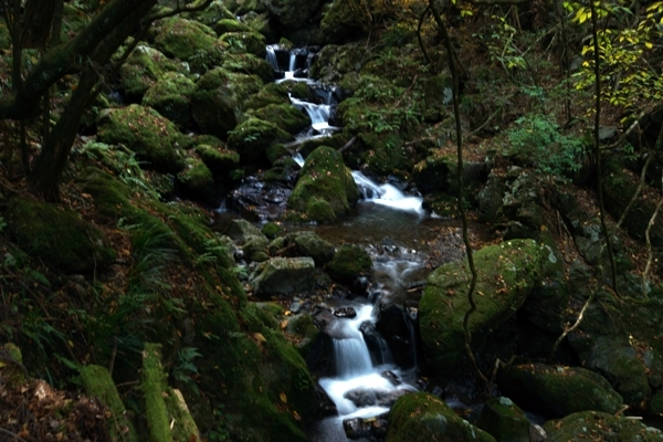 大岳山の沢