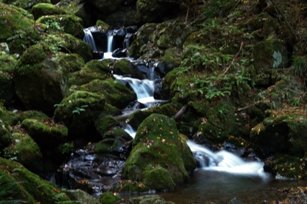 大岳山の沢