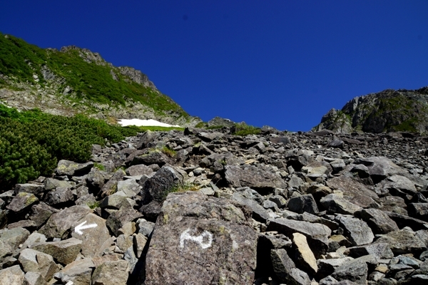 DSC08394.JPG