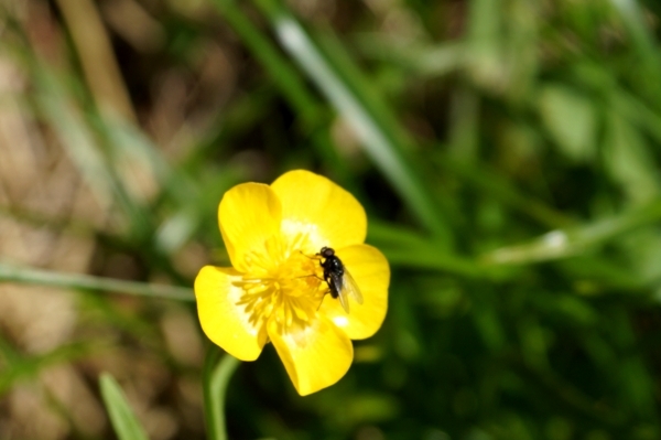 DSC08395.JPG