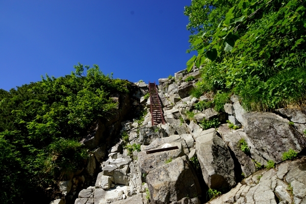 DSC08399.JPG