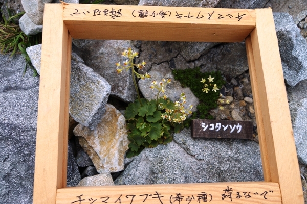 DSC08427.JPG