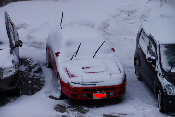 セリカ君雪だるま1.jpg