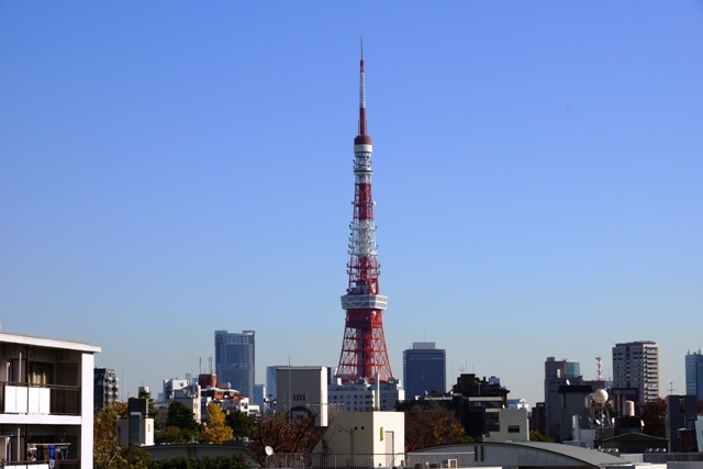 ヒルズからの東京タワー　640.JPG