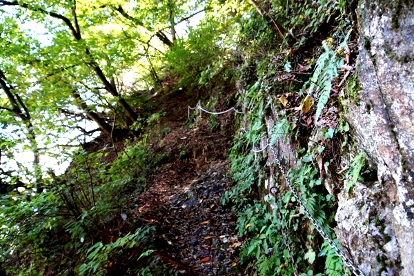 大岳山登山道1.JPG