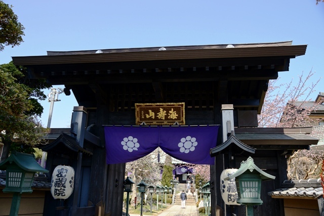 密蔵院　山門.jpg