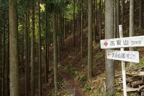 登山道1.JPG