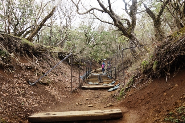 登山道3.JPG