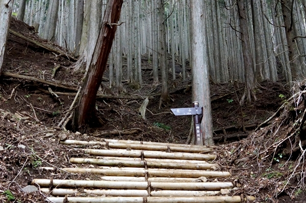 登山道　15丁目.JPG