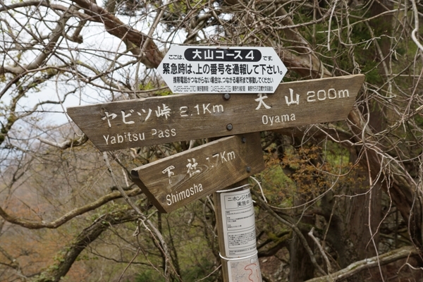 登山道　25丁目.JPG