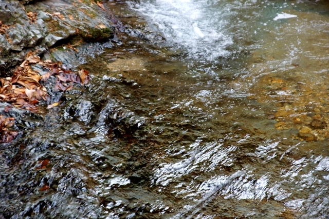 竜化の滝の下流の綺麗な水.JPG