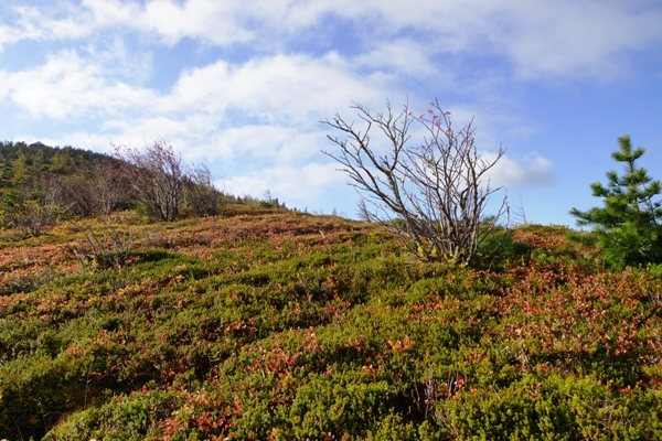 草津白根山08.JPG