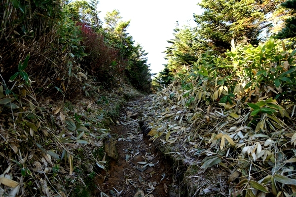 草津白根山10.JPG