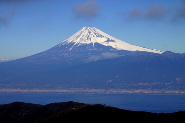 達磨山山頂からの富士山3.jpg