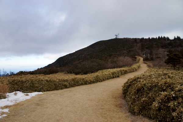 金冠山04.jpg