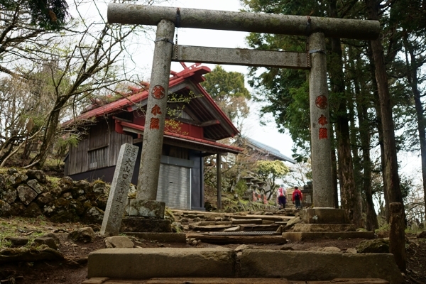 阿夫利神社　本社鳥居.JPG