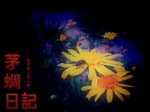 ハエと黄色い花.jpg