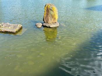 池の水と岩