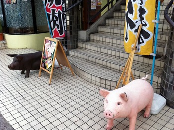 松尾の豚さん