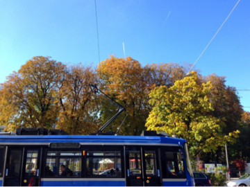 10月上旬の公園の木とドイツの市電