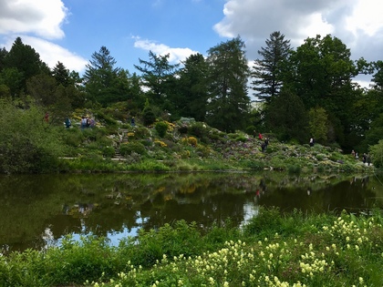 ドイツの植物園 池の対岸に広がるロックガーデン