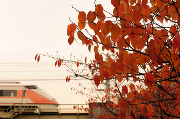 tobu_asakusa_101126_1.jpg