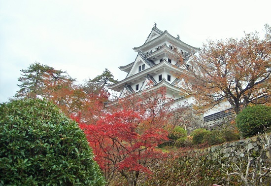 郡上八幡城と紅葉