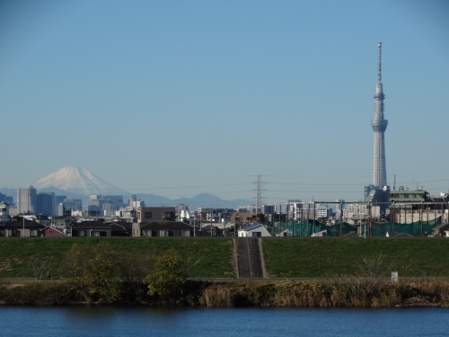 毎日 Tom 富む　