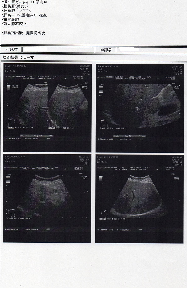 2021年3月19日、診断結果B.jpg