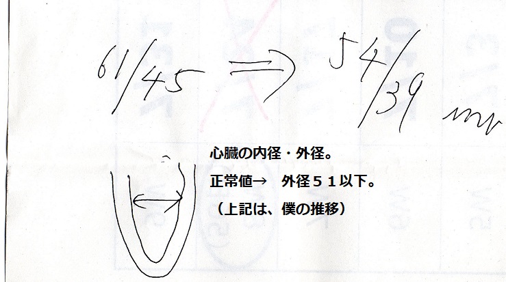 心臓、2020年11月6日.jpg