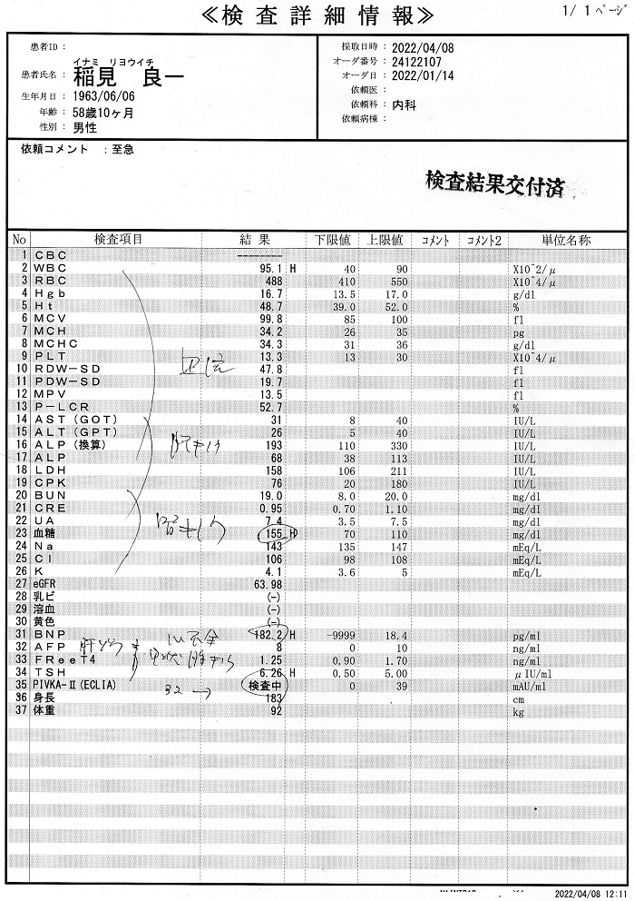 診断結果、2022年4月8日.jpg