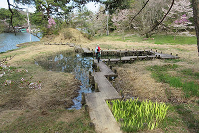 くろんど池_湿地4153.JPG