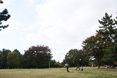 久宝寺緑地_芝生_4005.JPG