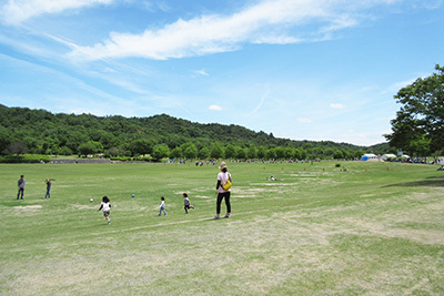 公園_芝生_5237.JPG