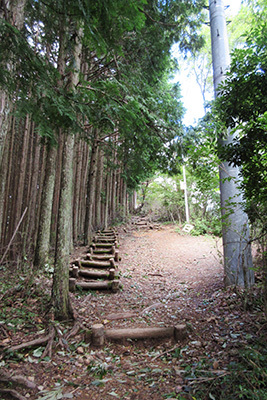 洞川温泉_大原山展望台_4750_山道.JPG