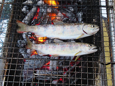 自然の森_焼き魚_1850.JPG