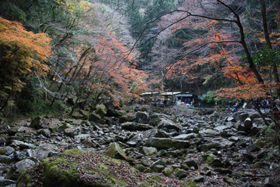 赤目_8986_千畳岩.JPG