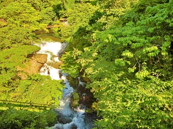 菊池川第五発電所の渓流