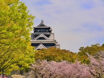 春の熊本城と桜