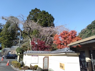 閑話休題